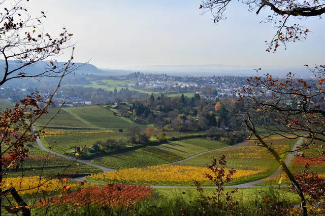 Ein letzter Blick. | Foto: Michael Harmsen