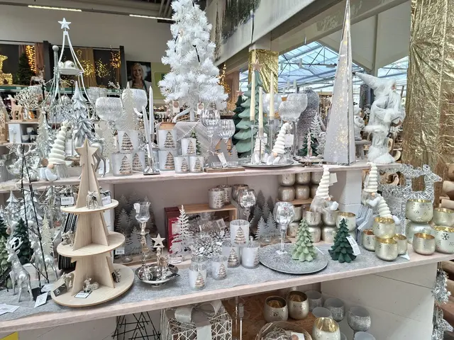 Weihnacht im Hagebau Häsele | Foto: Ralf Röser