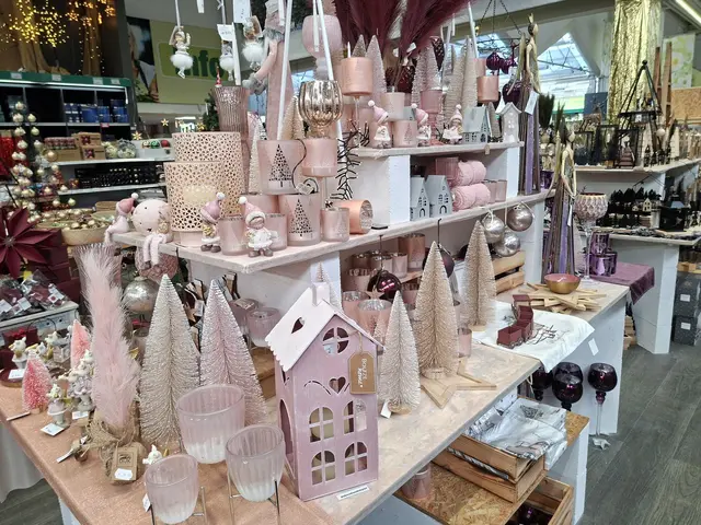 Weihnacht im Hagebau Häsele | Foto: Ralf Röser