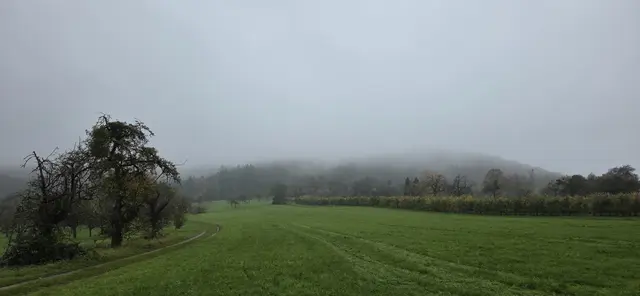 Nebel ... trotzdem schön! | Foto: privat Sibylle Tröber