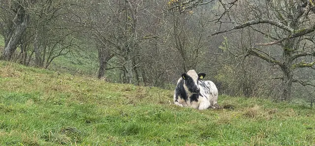 Ihr ist das Wetter egal. | Foto: privat Sibylle Tröber