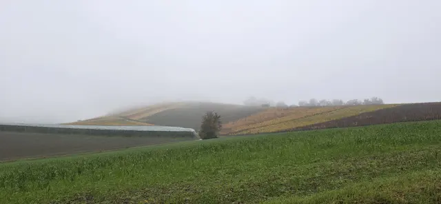 Nebel tut der schönen Landschaft keinen Abbruch! | Foto: privat Sibylle Tröber