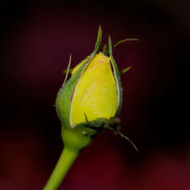 Foto: Eigenes Bild TB