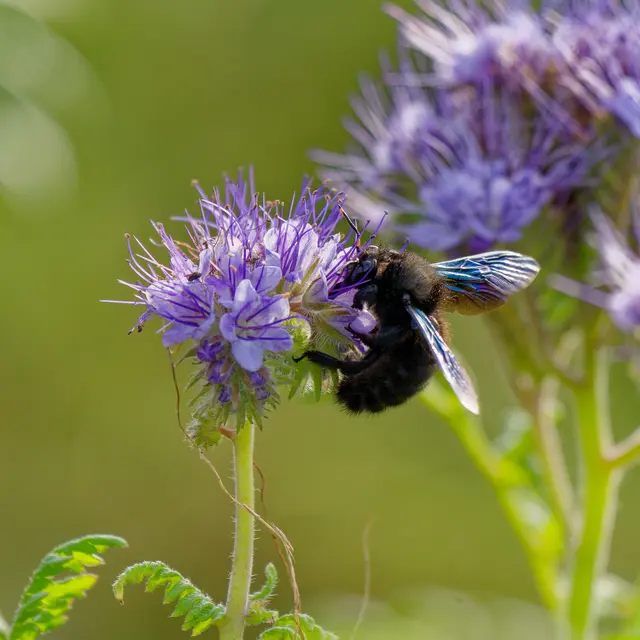 Foto: Eigenes Bild TB