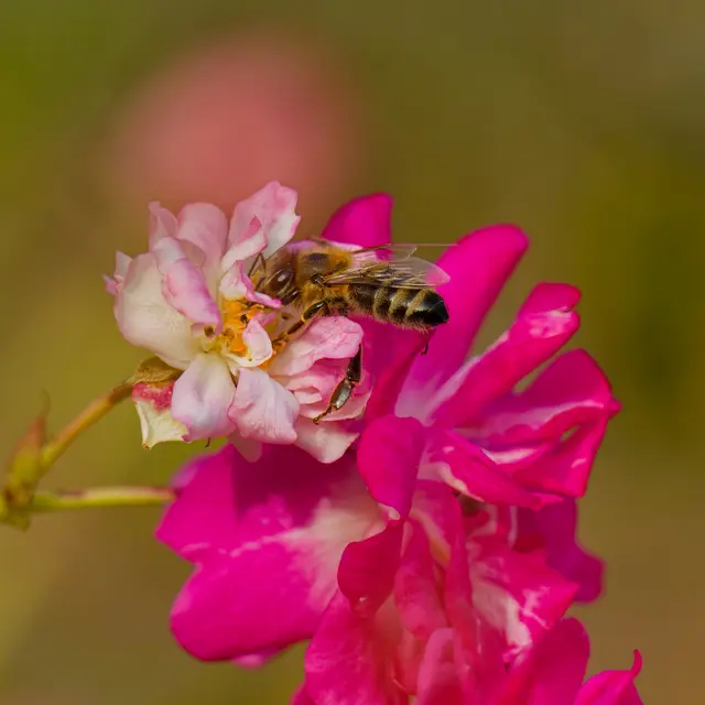 Foto: Eigenes Bild TB