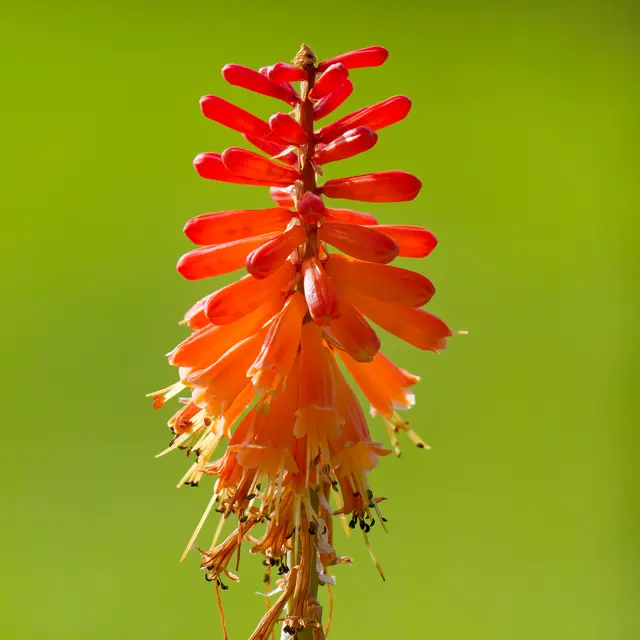 Foto: Eigenes Bild TB