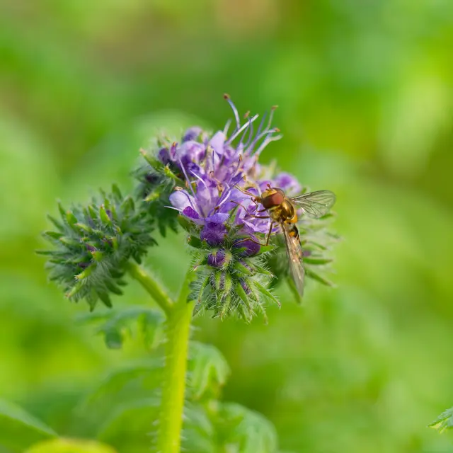 Foto: Eigenes Bild TB