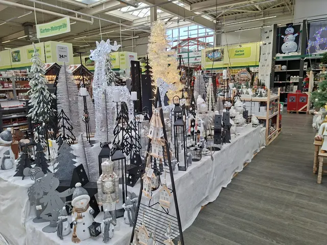 Weihnacht im Hagebau Häsele | Foto: Ralf Röser