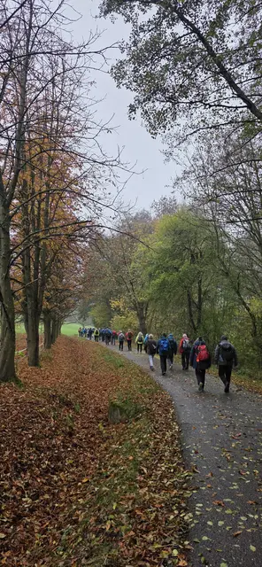 "Menschliche" Farbtupfer im Herbstwald. | Foto: privat Sibylle Tröber