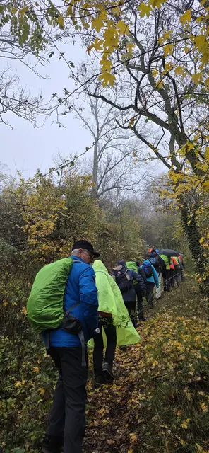 Bunt gemischt unterwegs auf schmalen Pfaden. | Foto: privat Sibylle Tröber