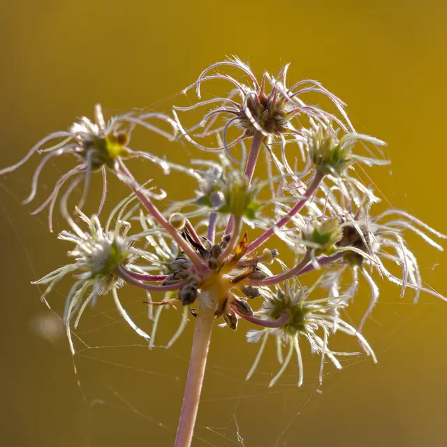 Foto: Eigenes Bild TB