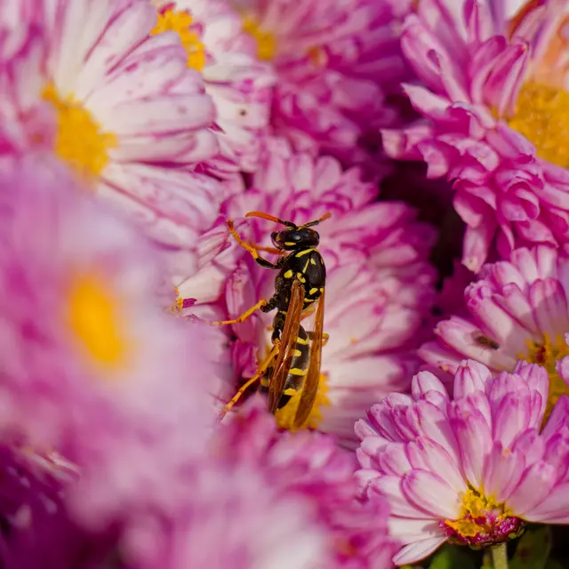 Foto: Eigenes Bild TB