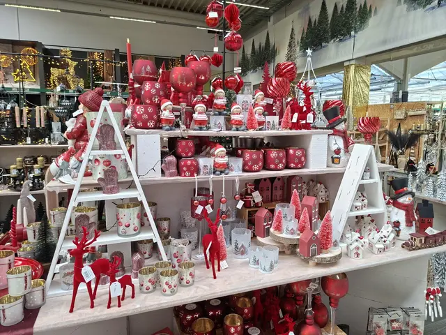 Weihnacht im Hagebau Häsele | Foto: Ralf Röser