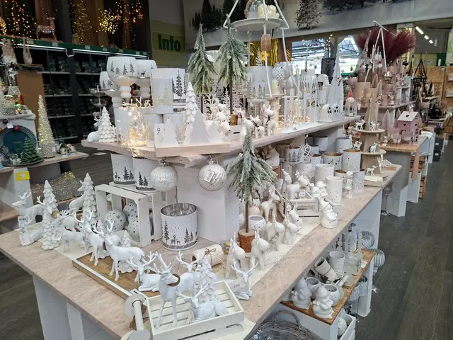 Weihnacht im Hagebau Häsele | Foto: Ralf Röser