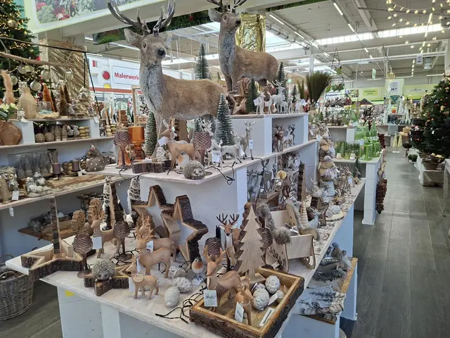 Weihnacht im Hagebau Häsele | Foto: Ralf Röser