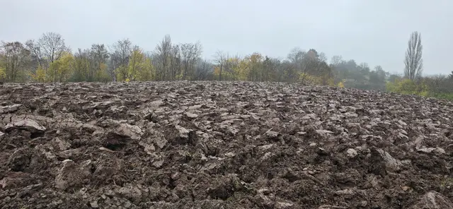 Erdig! | Foto: privat Sibylle Tröber