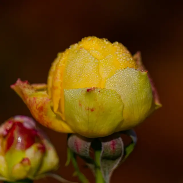 Foto: Eigenes Bild TB