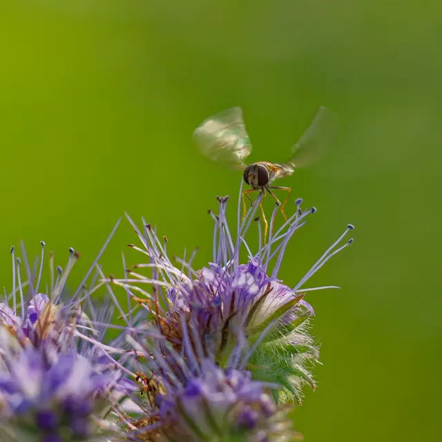 Foto: Eigenes Bild TB