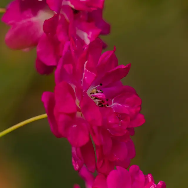 Foto: Eigenes Bild TB