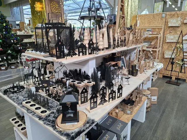 Weihnacht im Hagebau Häsele | Foto: Ralf Röser