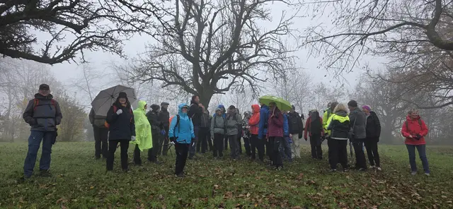 ... schade! | Foto: privat Sibylle Tröber