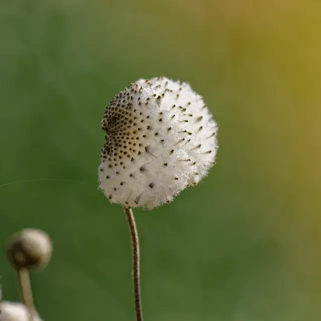 Foto: Eigenes Bild TB