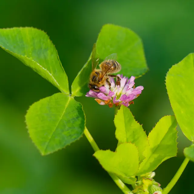 Foto: Eigenes Bild TB