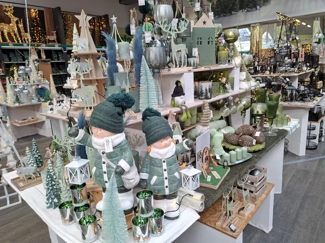 Weihnacht im Hagebau Häsele | Foto: Ralf Röser