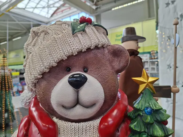 Weihnacht im Hagebau Häsele | Foto: Ralf Röser