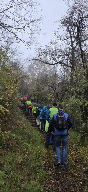 Bunt gemischt unterwegs auf schmalen Pfaden. | Foto: privat Sibylle Tröber