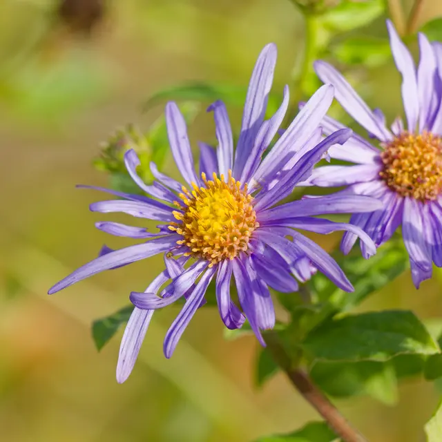 Foto: Eigenes Bild TB