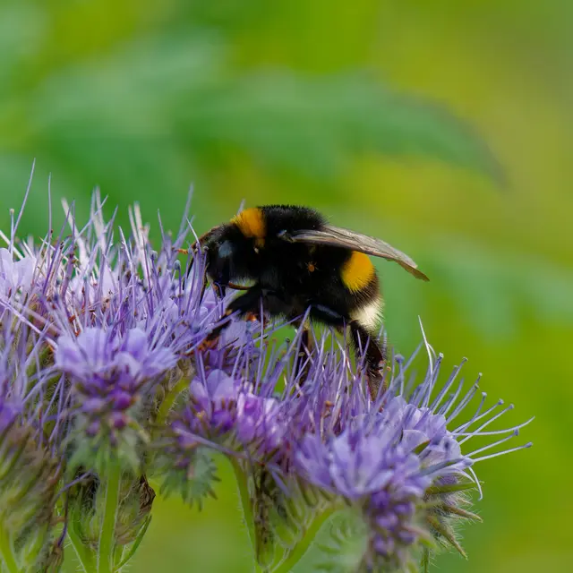 Foto: Eigenes Bild TB