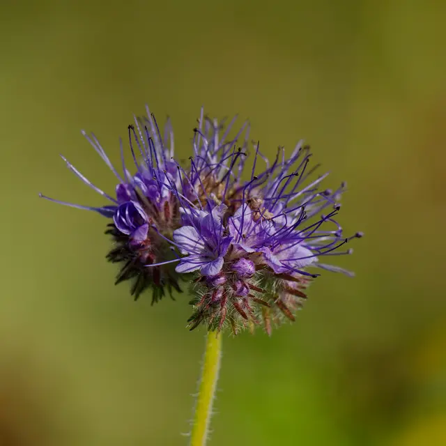 Foto: Eigenes Bild TB