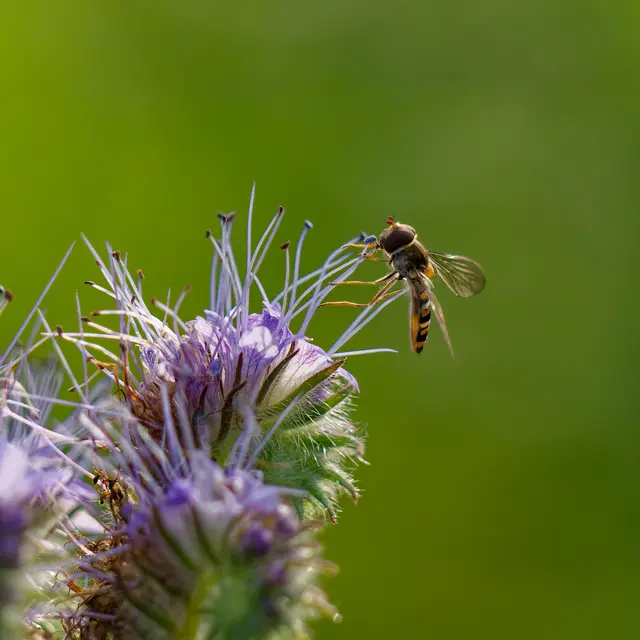 Foto: Eigenes Bild TB