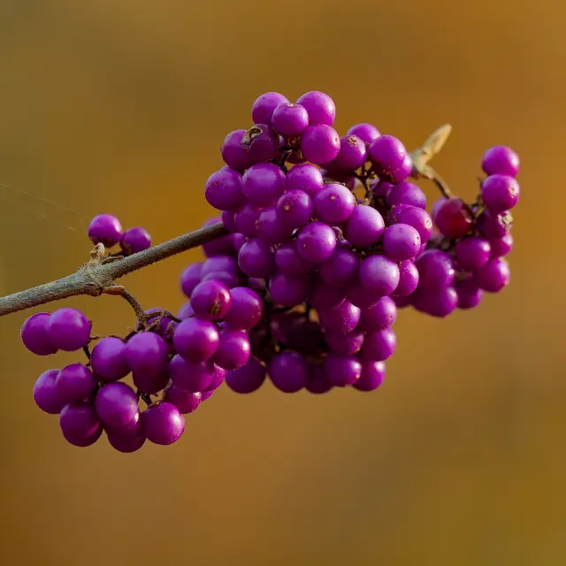 Foto: Eigenes Bild TB