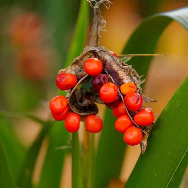 Foto: Eigenes Bild TB