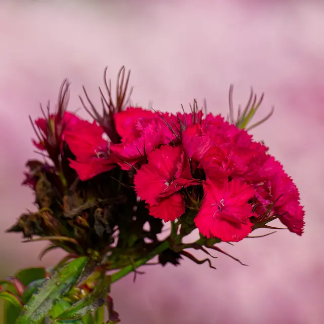 Foto: Eigenes Bild TB