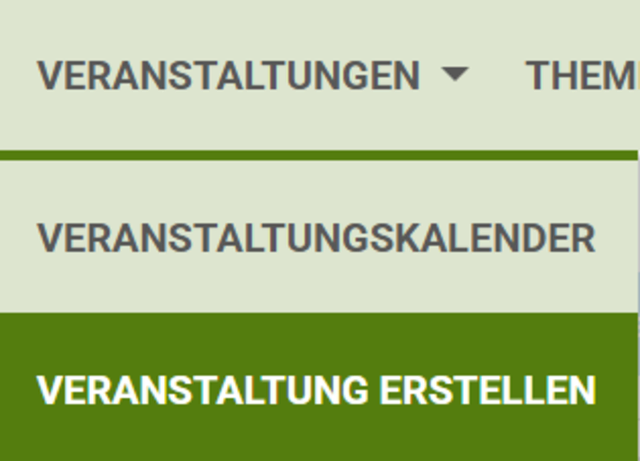 Um eine Veranstaltung anzulegen, klickt ihr hier auf "Veranstaltung erstellen".  | Foto: meine.stimme