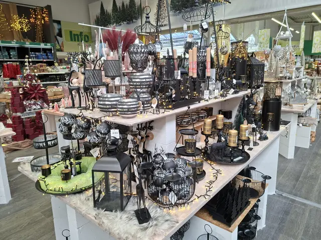 Weihnacht im Hagebau Häsele | Foto: Ralf Röser