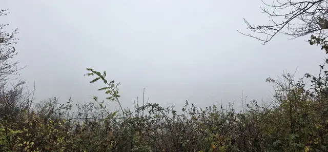 ... blieb uns leider versagt ... | Foto: privat Sibylle Tröber