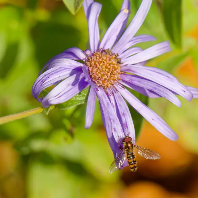 Foto: Eigenes Bild TB