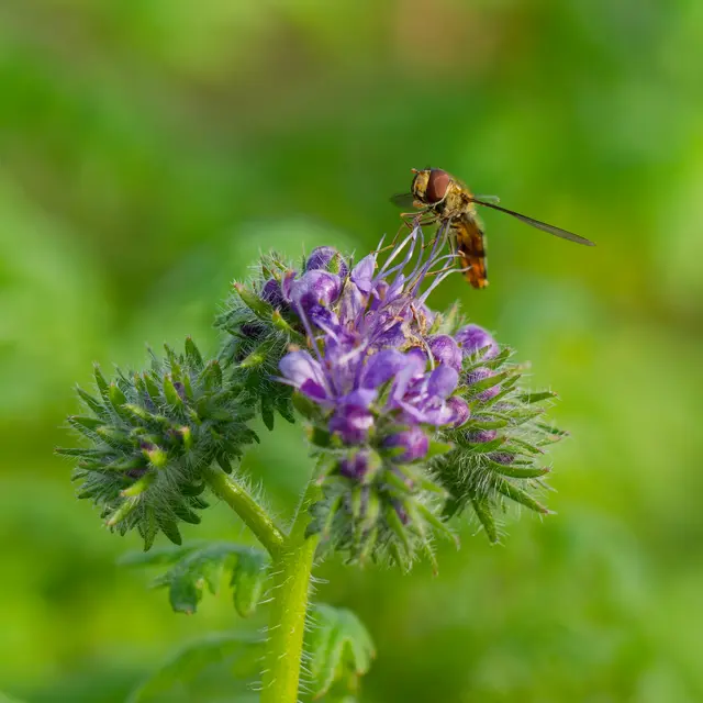 Foto: Eigenes Bild TB