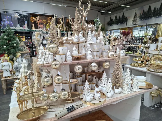 Weihnacht im Hagebau Häsele | Foto: Ralf Röser