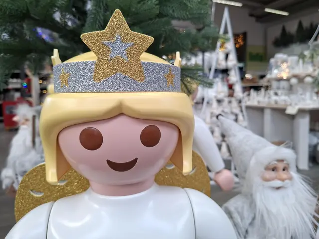 Weihnacht im Hagebau Häsele | Foto: Ralf Röser