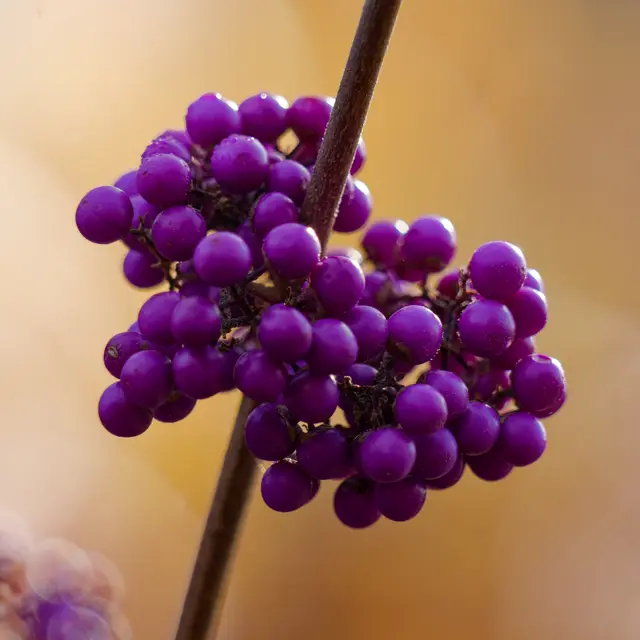 Foto: Eigenes Bild TB