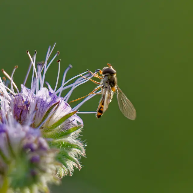 Foto: Eigenes Bild TB