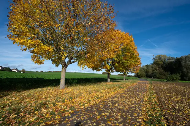 Foto: Alle eigene Fotos von GT