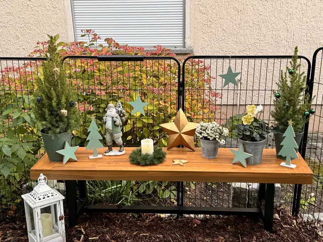 Foto: Heide Böllinger aus Bad Friedrichshall