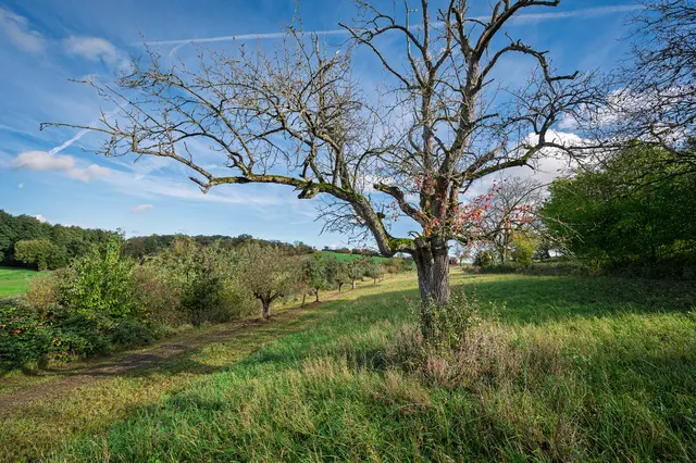 Foto: Alle eigene Fotos von GT