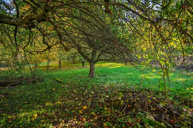 Foto: Alle eigene Fotos von GT